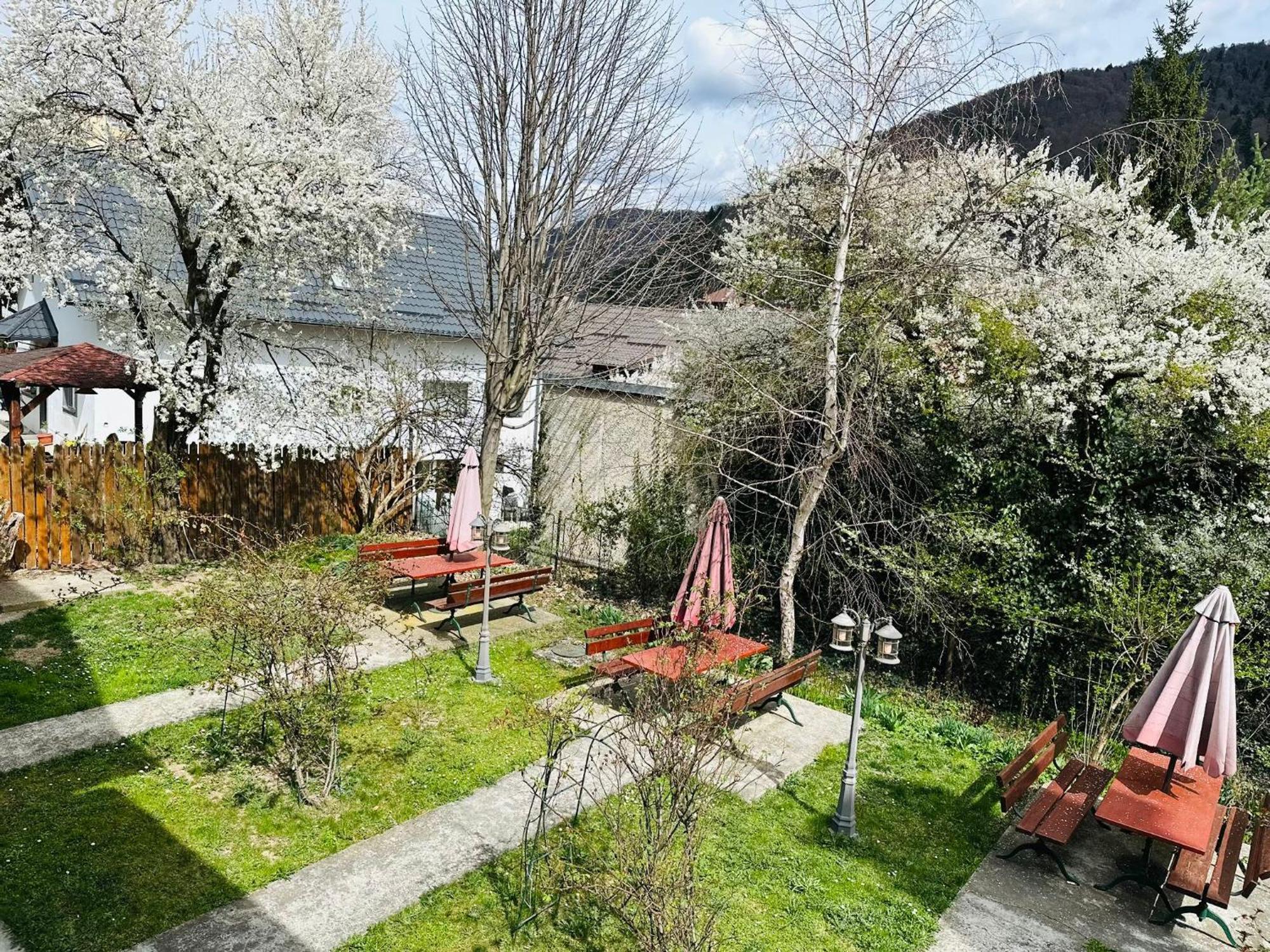 Rapsodia Sinaia Bed & Breakfast Exterior photo